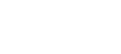 Rooted Owl Wholesale logo
